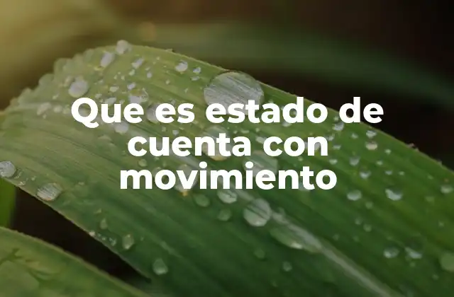 Que es Estado de Cuenta con Movimiento