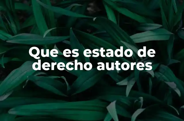 Que es Estado de Derecho Autores