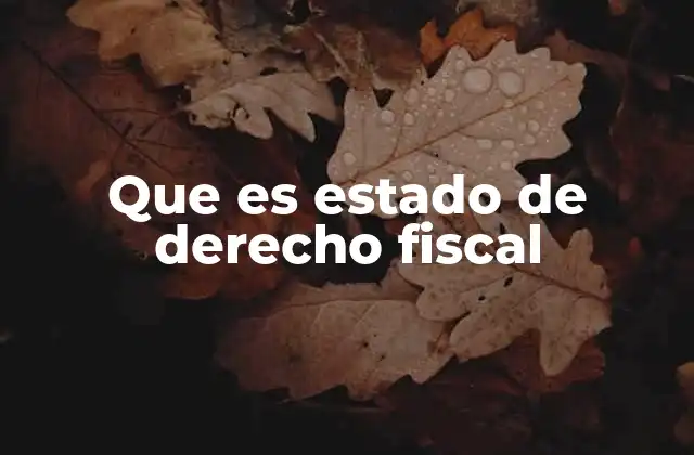 Que es Estado de Derecho Fiscal