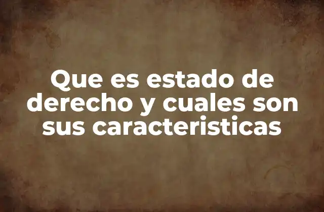 Que es Estado de Derecho y Cuales Son Sus Caracteristicas 2 El estado de derecho y su papel en la organización social