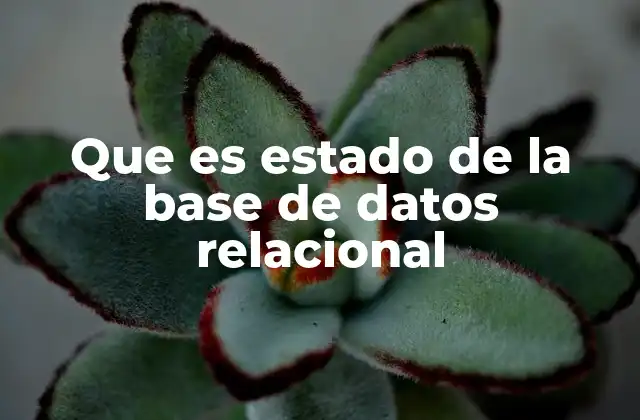 Que es Estado de la Base de Datos Relacional