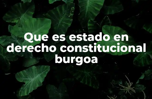 Que es Estado en Derecho Constitucional Burgoa