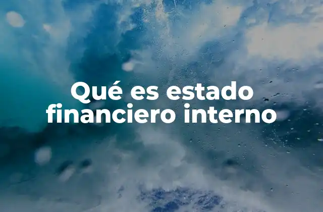Qué es Estado Financiero Interno