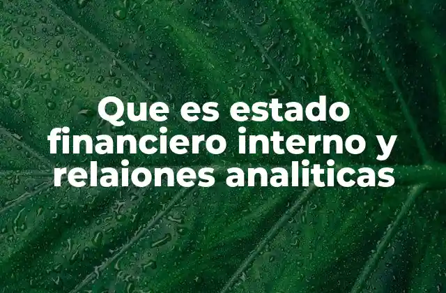 Que es Estado Financiero Interno y Relaiones Analiticas