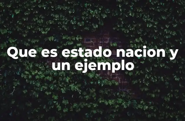 Que es Estado Nacion y un Ejemplo