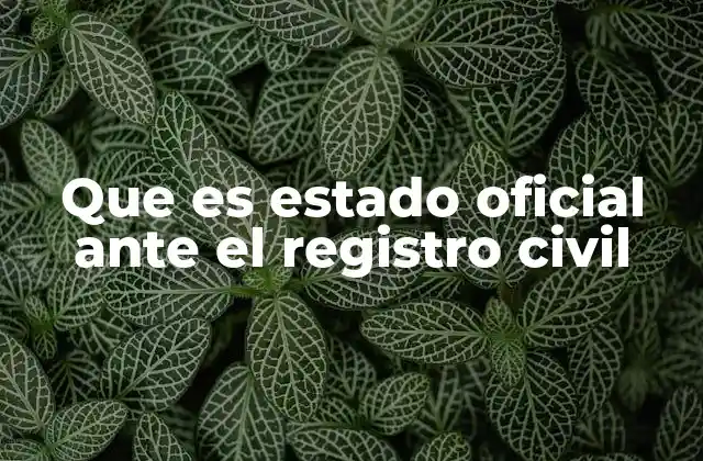 Que es Estado Oficial ante el Registro Civil