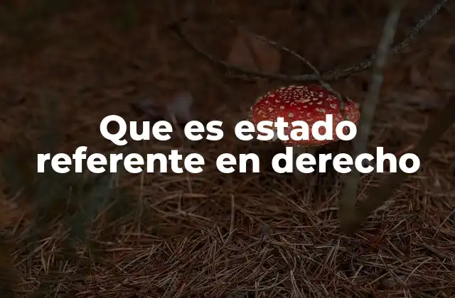 El papel del estado referente en el conflicto de leyes