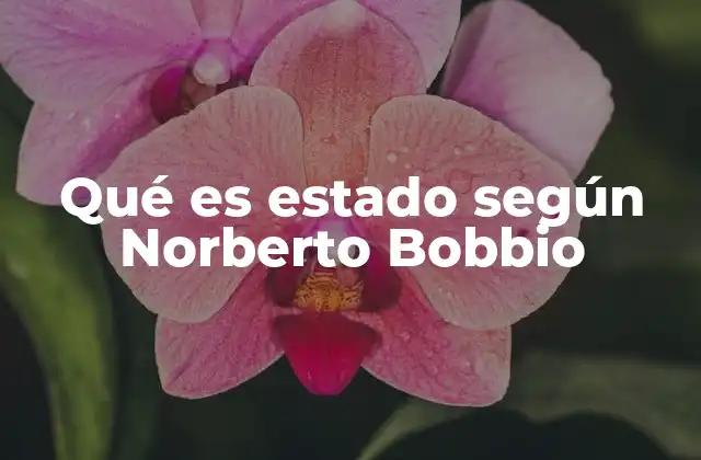 Qué es Estado según Norberto Bobbio