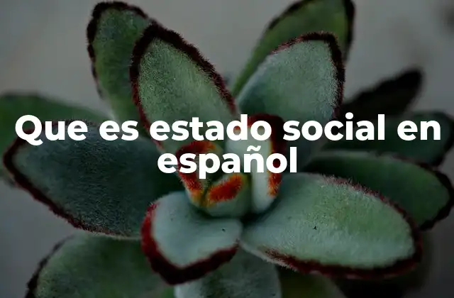 Que es Estado Social en Español