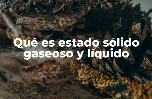 Qué es Estado Sólido Gaseoso y Líquido