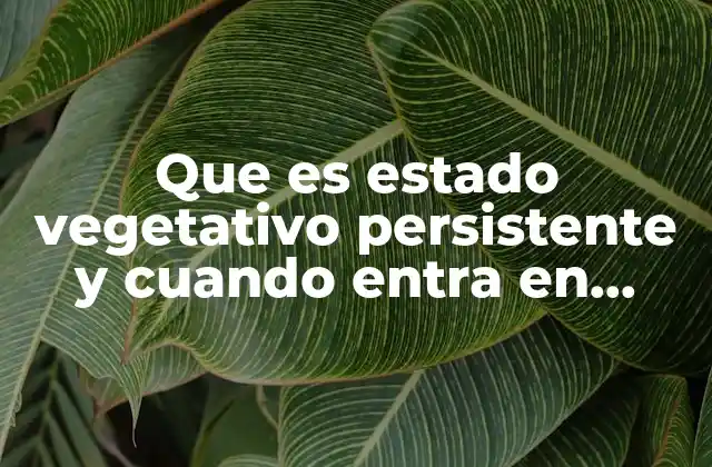 Que es Estado Vegetativo Persistente y Cuando Entra en Coma
