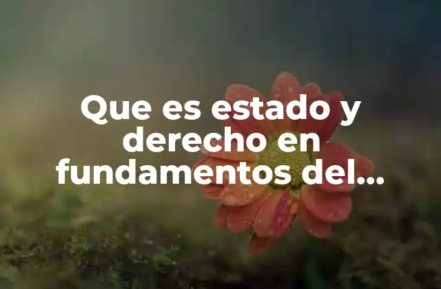 Que es Estado y Derecho en Fundamentos Del Derecho