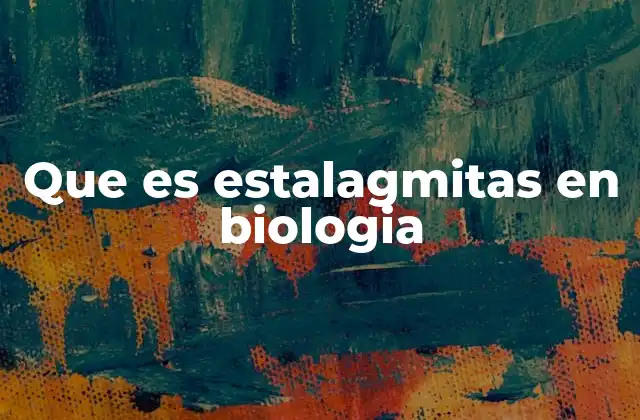 Que es Estalagmitas en Biologia