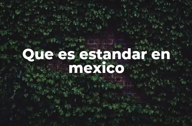 Que es Estandar en Mexico