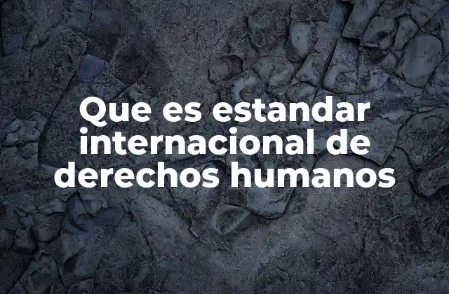 Que es Estandar Internacional de Derechos Humanos