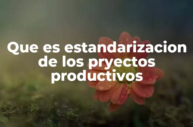 Que es Estandarizacion de los Pryectos Productivos