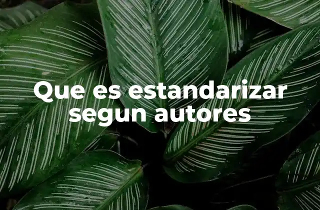 Que es Estandarizar Segun Autores
