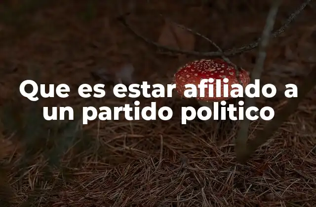 El rol del ciudadano en el entorno político