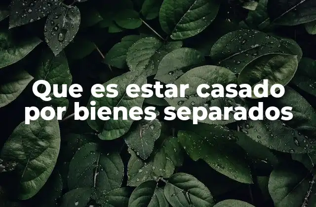 Cómo funciona el régimen de bienes separados en el matrimonio
