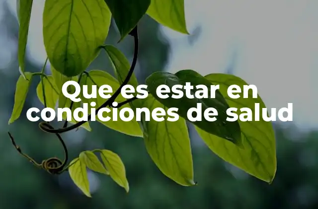 Que es Estar en Condiciones de Salud