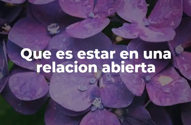 Que es Estar en una Relacion Abierta