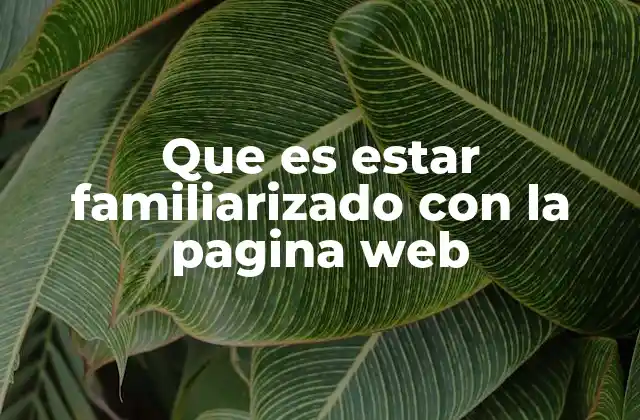 La importancia de comprender cómo se navega por un sitio web
