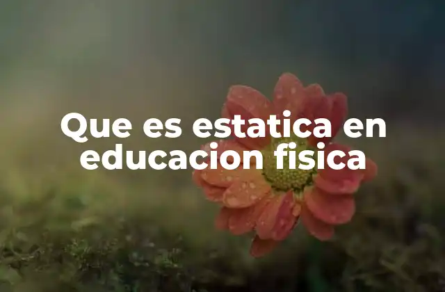 Que es Estatica en Educacion Fisica