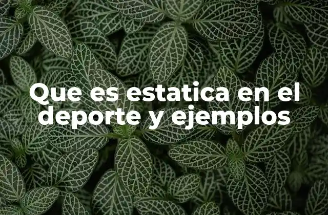 Que es Estatica en el Deporte y Ejemplos
