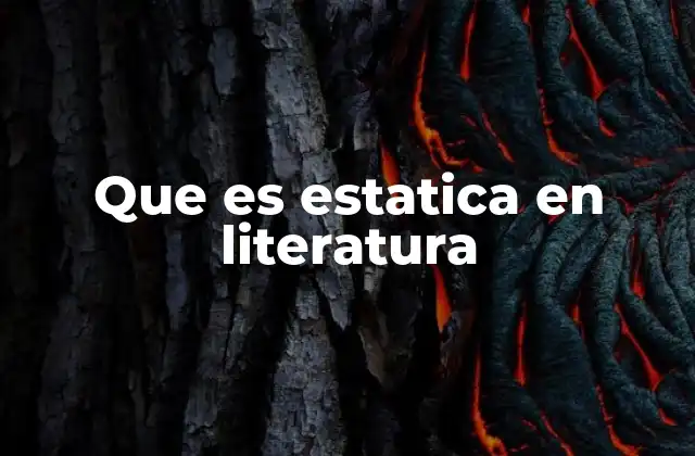 Que es Estatica en Literatura