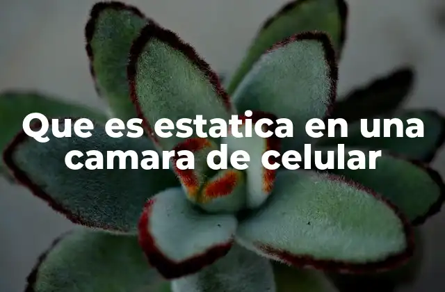 Causas comunes de la estática en cámaras móviles