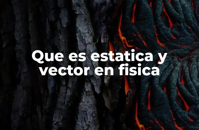 Que es Estatica y Vector en Fisica