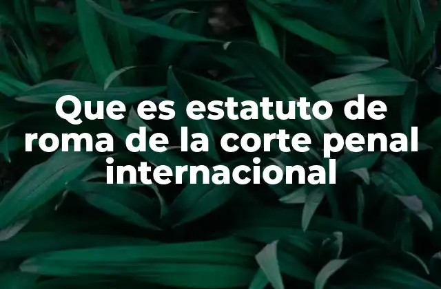 Que es Estatuto de Roma de la Corte Penal Internacional