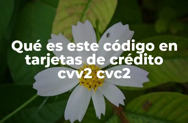 La importancia del código de seguridad en tarjetas de pago