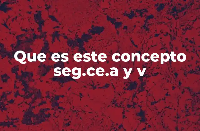 Que es Este Concepto Seg.ce.a y V