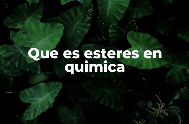 Que es Esteres en Quimica 2 Importancia de los ésteres en la química orgánica