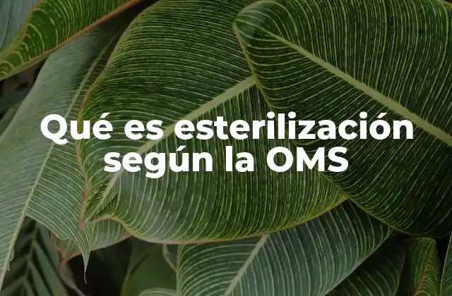 Qué es Esterilización según la Oms