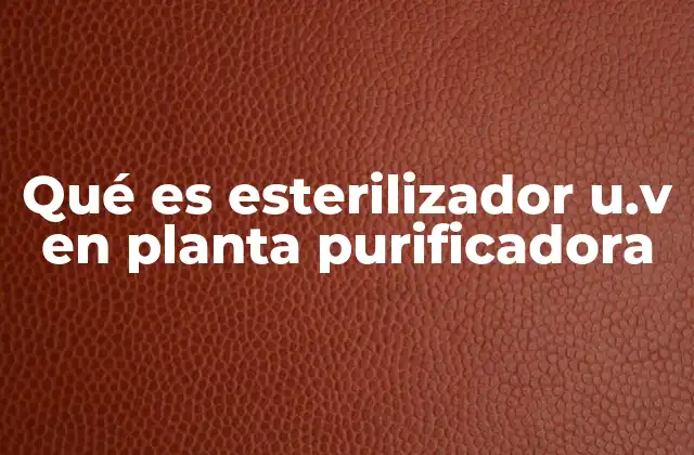 Qué es Esterilizador U.v en Planta Purificadora