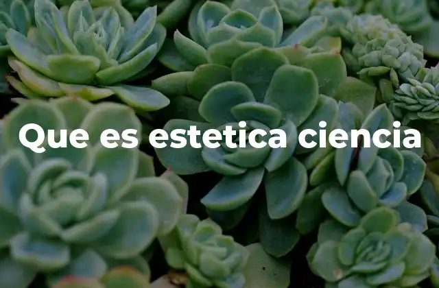 Que es Estetica Ciencia