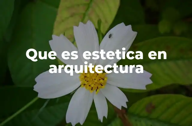 Que es Estetica en Arquitectura