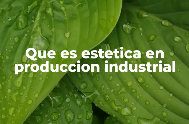 Que es Estetica en Produccion Industrial
