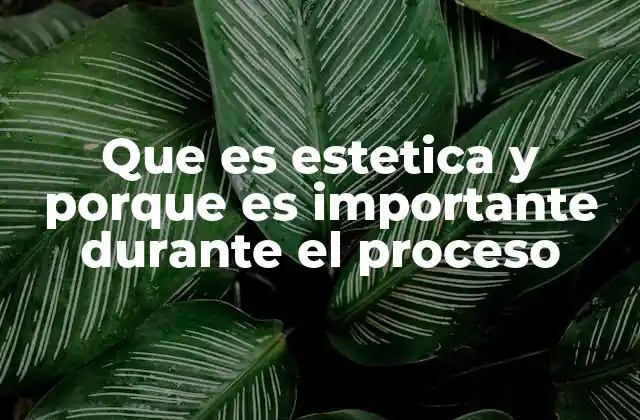 Que es Estetica y Porque es Importante durante el Proceso