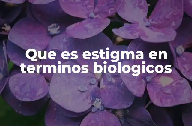 El estigma como estructura reproductiva clave en las flores