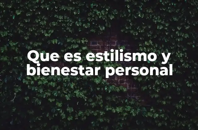 Que es Estilismo y Bienestar Personal