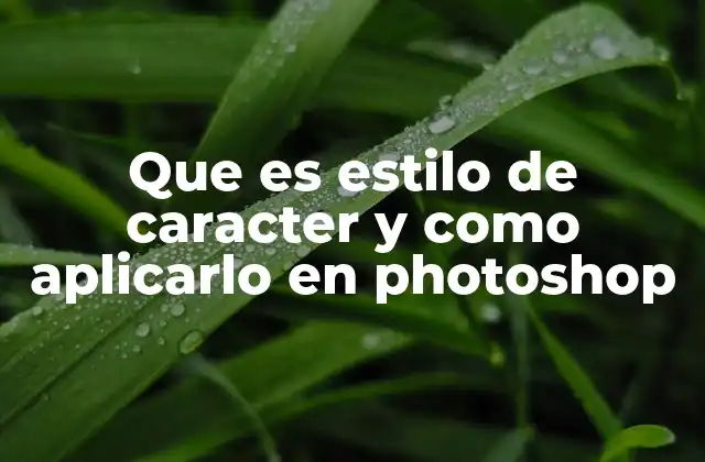 Que es Estilo de Caracter y como Aplicarlo en Photoshop