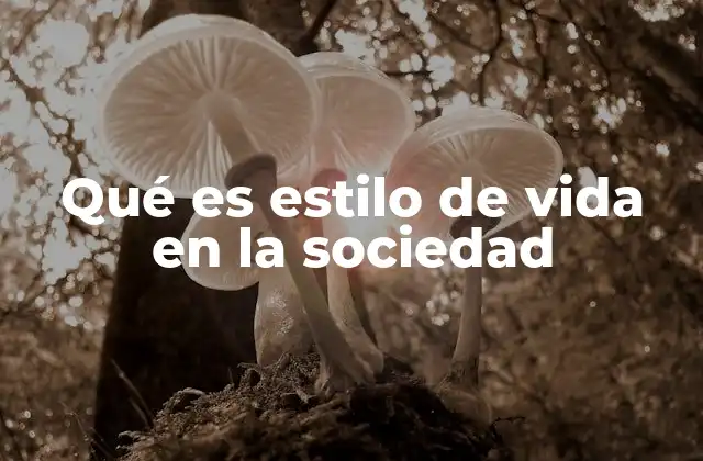Qué es Estilo de Vida en la Sociedad