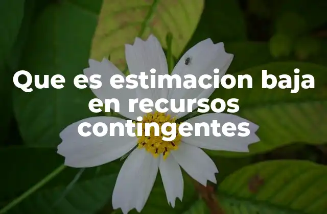 Que es Estimacion Baja en Recursos Contingentes