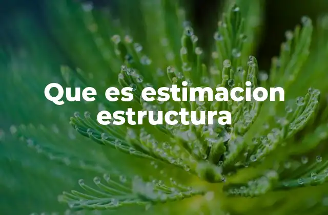 Que es Estimacion Estructura