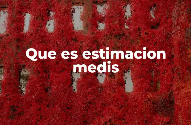 Que es Estimacion Medis
