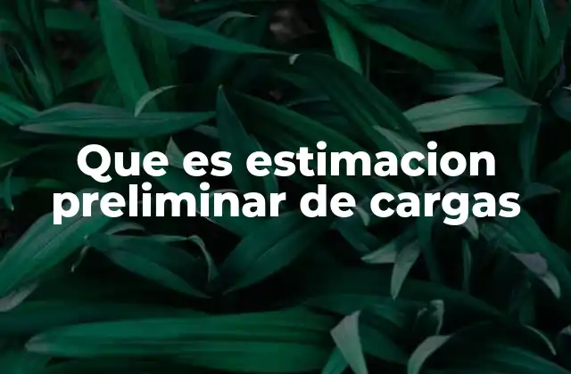 Que es Estimacion Preliminar de Cargas