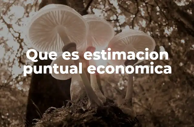 Que es Estimacion Puntual Economica